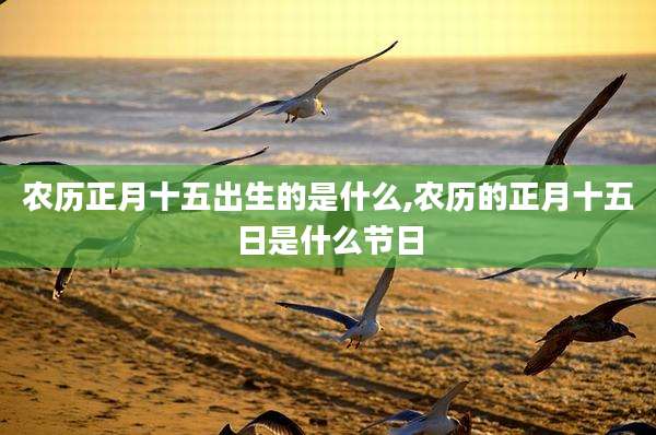 农历正月十五出生的是什么,农历的正月十五日是什么节日