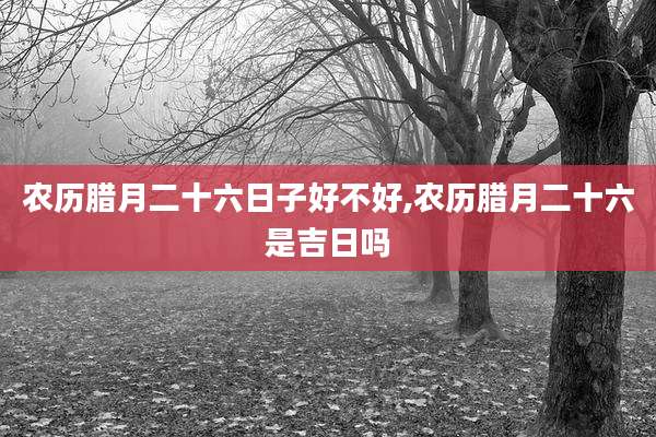 农历腊月二十六日子好不好,农历腊月二十六是吉日吗