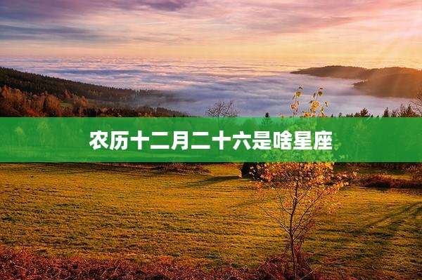 农历十二月二十六是啥星座