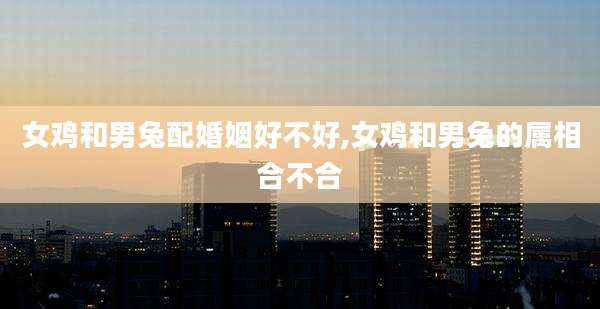 女鸡和男兔配婚姻好不好,女鸡和男兔的属相合不合