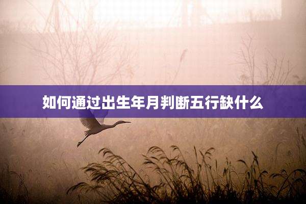 如何通过出生年月判断五行缺什么