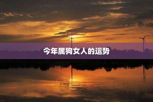 今年属狗女人的运势