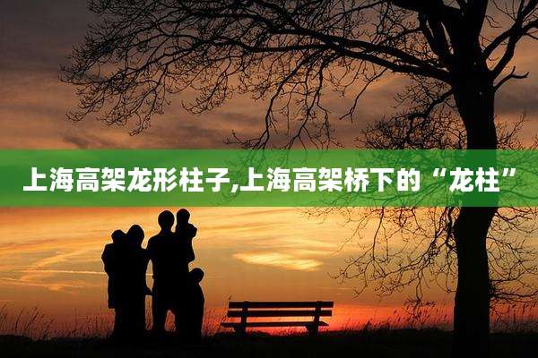 上海高架龙形柱子,上海高架桥下的“龙柱”