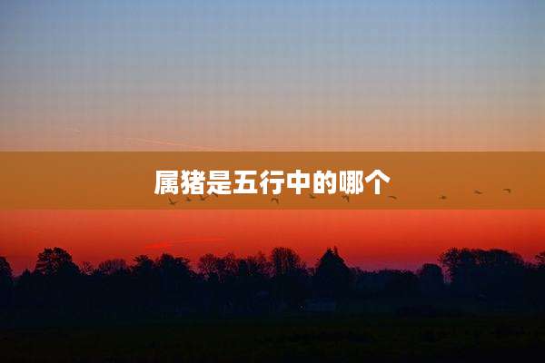 属猪是五行中的哪个