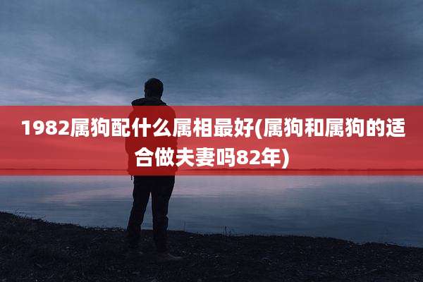 1982属狗配什么属相最好(属狗和属狗的适合做夫妻吗82年)