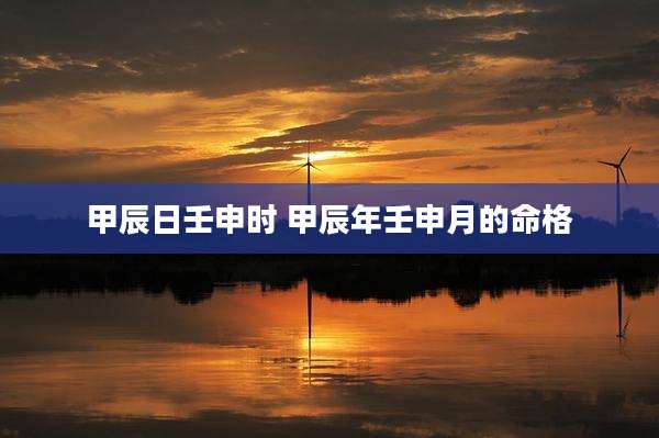 甲辰日壬申时 甲辰年壬申月的命格