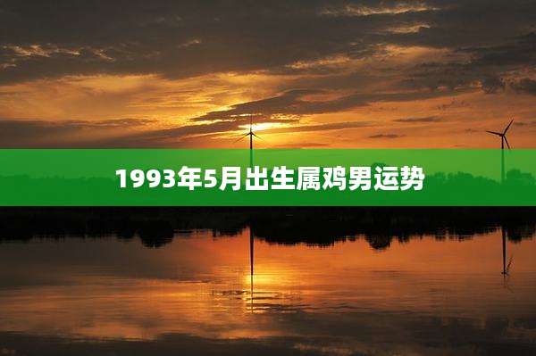 1993年5月出生属鸡男运势