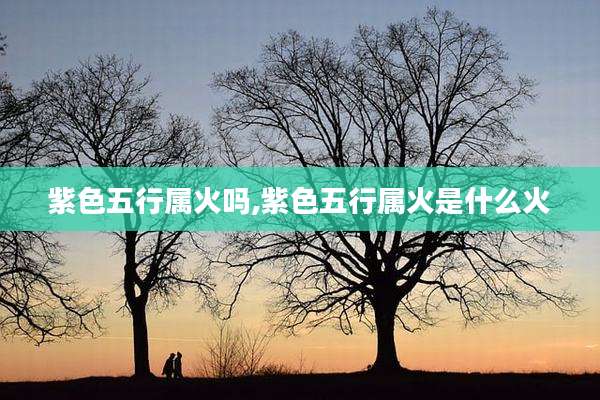 紫色五行属火吗,紫色五行属火是什么火