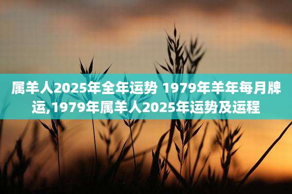 属羊人2025年全年运势 1979年羊年每月牌运,1979年属羊人2025年运势及运程