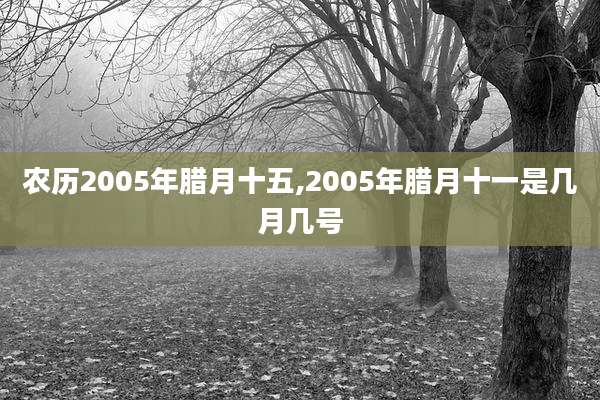 农历2005年腊月十五,2005年腊月十一是几月几号