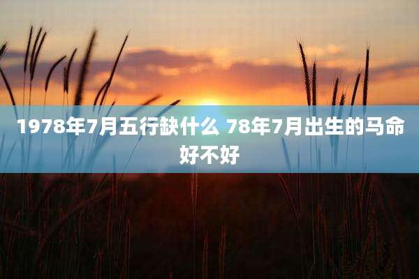 1978年7月五行缺什么 78年7月出生的马命好不好