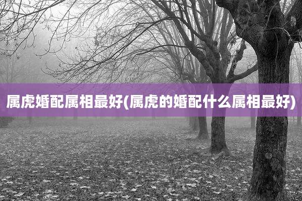 属虎婚配属相最好(属虎的婚配什么属相最好)