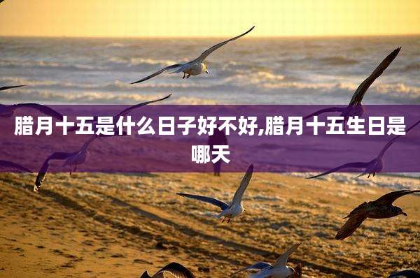 腊月十五是什么日子好不好,腊月十五生日是哪天