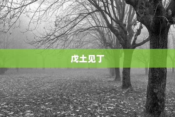 戊土见丁