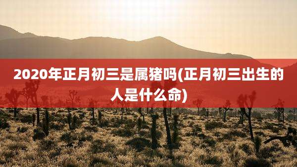 2020年正月初三是属猪吗(正月初三出生的人是什么命)