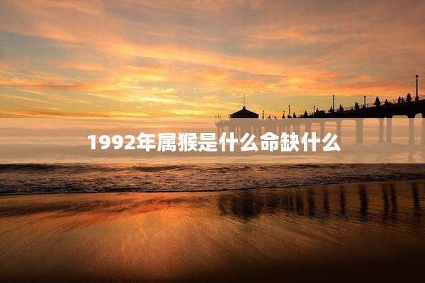 1992年属猴是什么命缺什么
