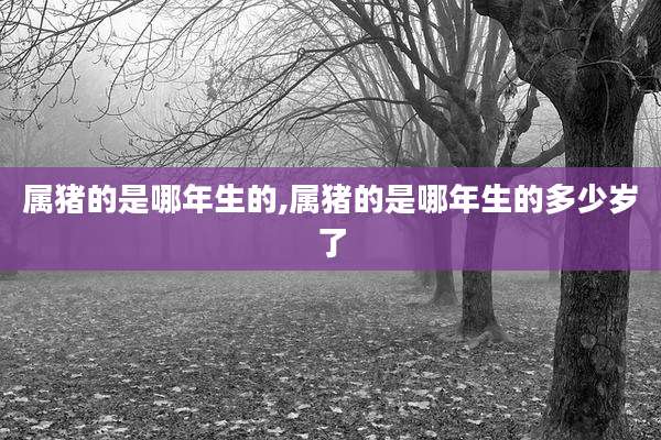 属猪的是哪年生的,属猪的是哪年生的多少岁了