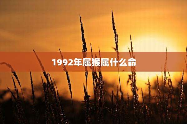 1992年属猴属什么命