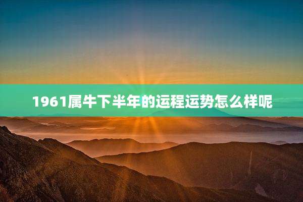 1961属牛下半年的运程运势怎么样呢