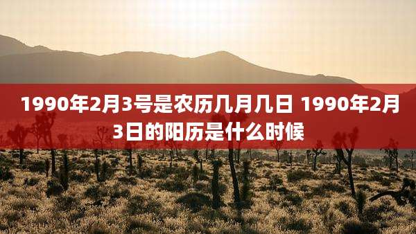 1990年2月3号是农历几月几日 1990年2月3日的阳历是什么时候