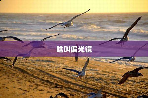 啥叫偏光镜