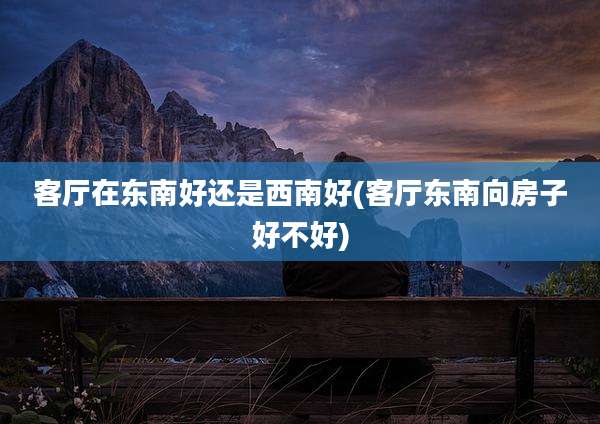 客厅在东南好还是西南好(客厅东南向房子好不好)