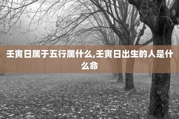壬寅日属于五行属什么,壬寅日出生的人是什么命