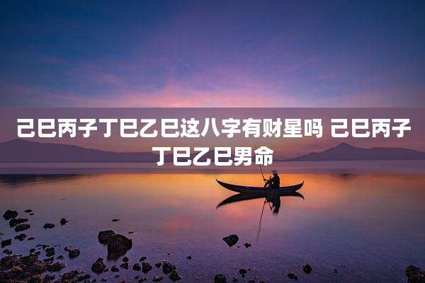 己巳丙子丁巳乙巳这八字有财星吗 己巳丙子丁巳乙巳男命