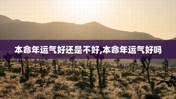 本命年运气好还是不好,本命年运气好吗