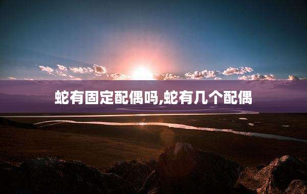 蛇有固定配偶吗,蛇有几个配偶