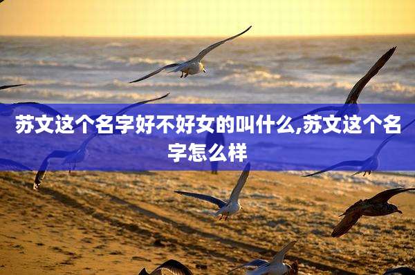 苏文这个名字好不好女的叫什么,苏文这个名字怎么样