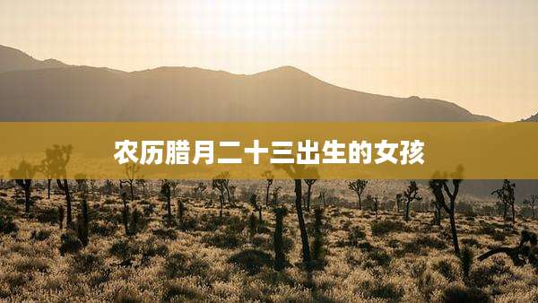 农历腊月二十三出生的女孩