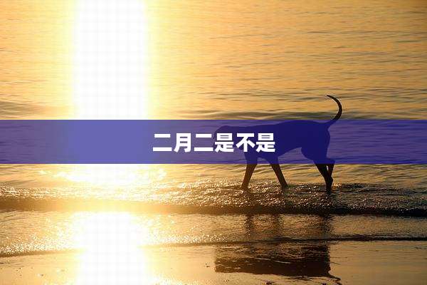 二月二是不是