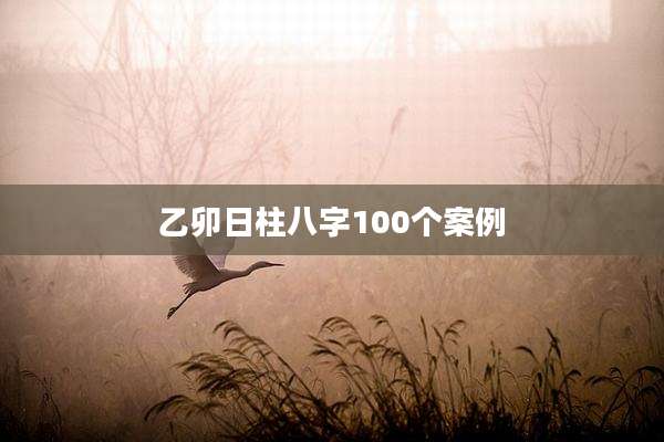 乙卯日柱八字100个案例