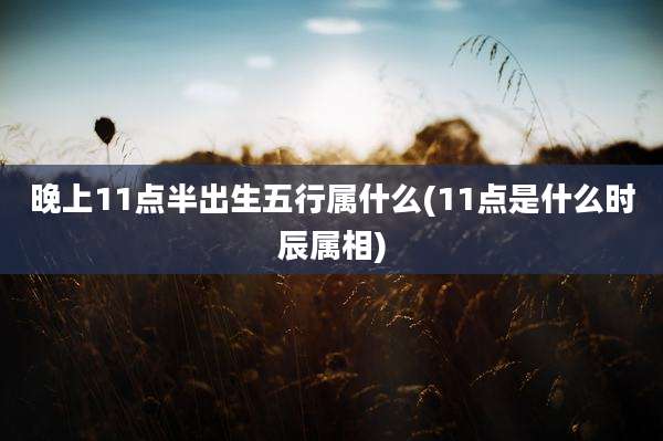 晚上11点半出生五行属什么(11点是什么时辰属相)