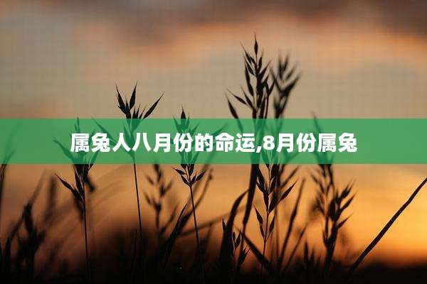 属兔人八月份的命运,8月份属兔