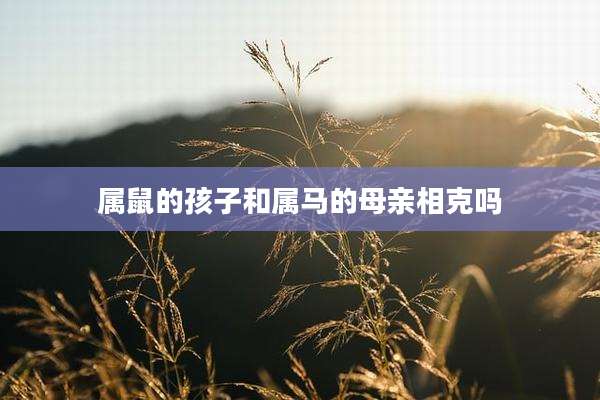 属鼠的孩子和属马的母亲相克吗