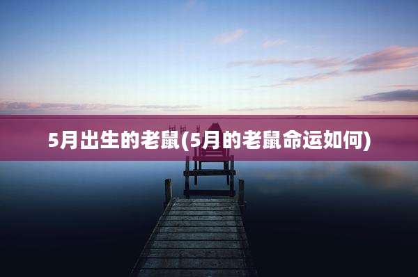 5月出生的老鼠(5月的老鼠命运如何)