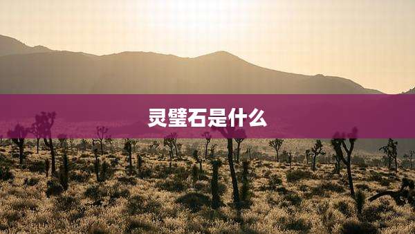 灵璧石是什么
