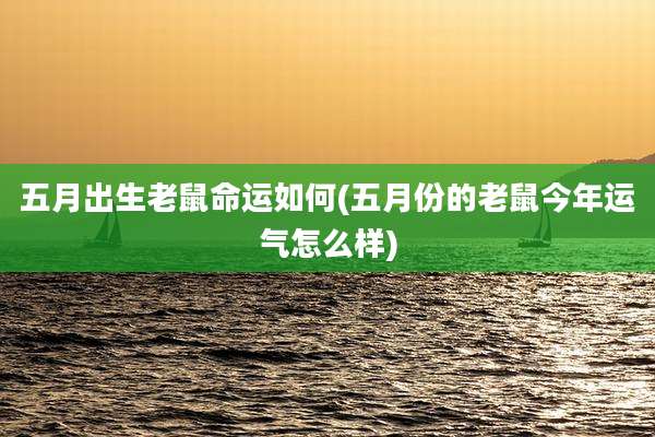 五月出生老鼠命运如何(五月份的老鼠今年运气怎么样)