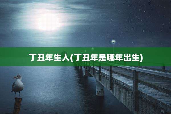 丁丑年生人(丁丑年是哪年出生)