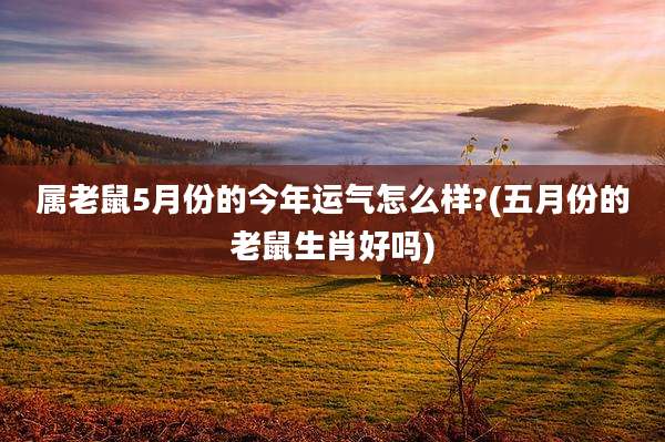 属老鼠5月份的今年运气怎么样?(五月份的老鼠生肖好吗)