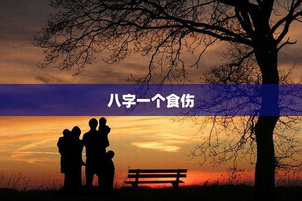 八字一个食伤