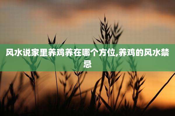 风水说家里养鸡养在哪个方位,养鸡的风水禁忌