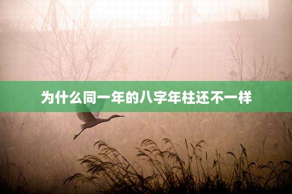 为什么同一年的八字年柱还不一样
