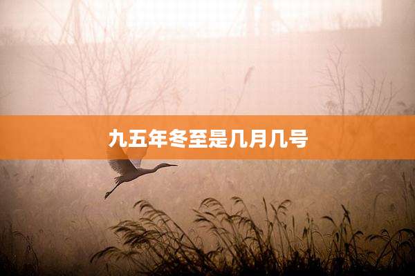 九五年冬至是几月几号