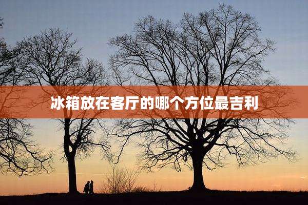 冰箱放在客厅的哪个方位最吉利
