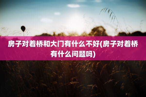 房子对着桥和大门有什么不好(房子对着桥有什么问题吗)
