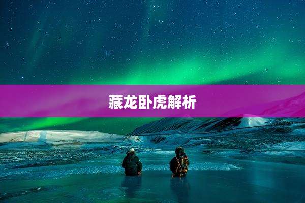 藏龙卧虎解析