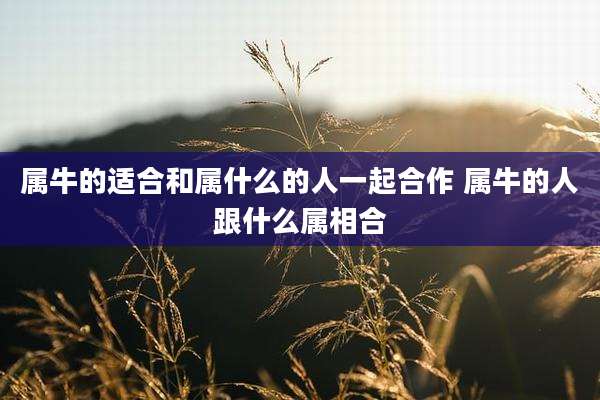 属牛的适合和属什么的人一起合作 属牛的人跟什么属相合